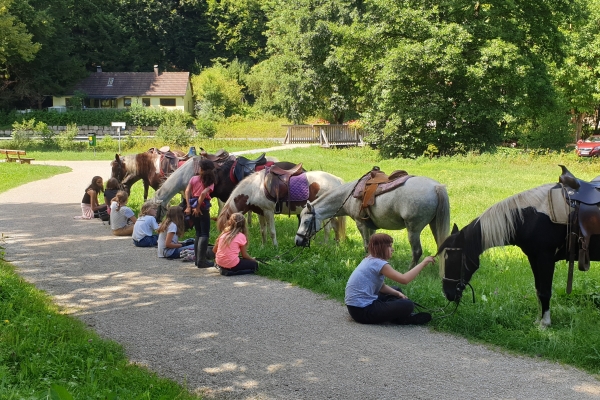 Hotel Zur Linde Gasthof